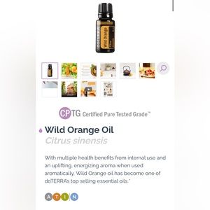 Wild Orange 15 mL